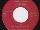 FABLE THE ADVENTURE Time / Lady RARE Ohio modern soul 45 AOR synth boogie HEAR