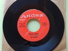 The Raiders / Yoo Hoo / Hocus Pocus 4015 Rare Rockabilly Promo Andex 45 VG+