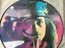 Fields of the Nephilim Beyond the Wall of Sleep picture disc.  SUPER RARE