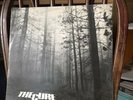 The Cure A Forest (extended Edition) 12” Picture Sleeve 45/ Vinyl/ Single/ Goth
