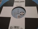 Binary Finary ?– 1999 12