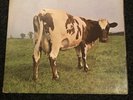 Pink Floyd Atom Heart Mother Vinyl Record Lp SHVL781 Harvest A1B1 First Press