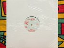 Back Street Band – Shake 12