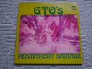 GTO'S: Permanent Damage LP (STS 1059) With Mint Booklet.