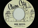 Funk Disco 45 - She Devil - She Devil - Charm City - VG++ mp3