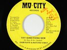 Funk/Sweet Soul 45 - Dani Raye & Nature's Way - Try Something New - Mo-City mp3
