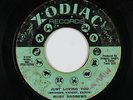 Northern Soul 45 - Ruby Andrews - Just Loving You - Zodiac - mp3