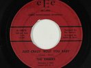 Northern Soul 45 - Embers - Just Crazy 'Bout You Baby - eEe - mp3