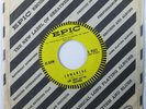 Instrumental Garage Tittyshaker 45 LINK WRAY & WRAYMEN Comanche EPIC HEAR