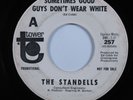 Garage Mod 45 STANDELLS Sometimes Good Guys Don't Wear White TOWER promo HEAR