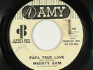 Northern Soul 45 - Mighty Sam - Papa True Love - Amy - mp3
