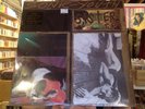 Sonic Youth Sister LP sealed vinyl reissue