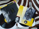 FIELDS OF GOLD THE BEST OF STING VINYL DOUBLE ALBUM LP RECORD. Great condition