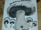 MUSHROOM FOLK SAMPLER  HEATHER ADRIAN JOHN BETMEAD RARE FOLK VINYL LP ORIG  1971