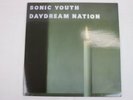 Sonic Youth Daydream Nation UK 1st BLAST NM 2LP + POSTER