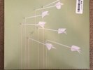 Modest Mouse - Good News for People Who Love Bad News [Vinyl]