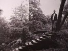 TIMBER TIMBRE - Timber Timbre - Vinyl (LP)
