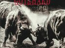 GOTTHARD - #13 - Vinyl (gatefold 2xLP + booklet)