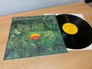 HALLIMASCH CANTA GREAT JAZZ PSYCH PROG PRIVATE PRESS in 1980