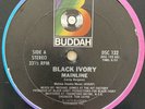 BLACK IVORY - Mainline - LARRY LEVAN Classic Full 6:53 Version VG+ GARAGE DISCO