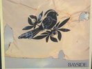 BAYSIDE The Walking Wounded BEIGE PUTTY VINYL LP Victory Records Raybeez Emo