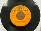 The Dell - Vikings : When I Come Home / What Made Maggie Run 45 rpm FB-210