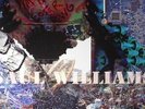 WILLIAMS, Saul - Martyr Loser King - Vinyl (LP)