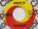 Beach Boys NOS 1966 BRIAN WILSON PET SOUNDS 45 IN COMPANY SLEEVE/A RARE ONE/WOW