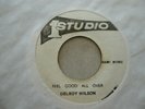 AUTHOR ROBINSON MOMENT /DELROY WILSON FEEL GOOD ALL OVER STUDIO ONE VG+