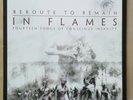 In Flames Reroute To Remain Vinyl lp Nuclear Blast  first press 2002 rar 