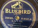 Bluebird 8537 Happy Fats Rayne-Bo Ramblers O.S.T. GAL 1940 Cajun 78 rpm EE+/E-