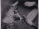 DONALD BYRD: Free Form LP Sealed (Euro, 180 gram reissue) Jazz