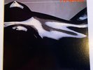 Hi-Gloss - You'll Never Know - Album - Vinyl Record - Excellent  PRL12185
