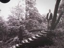 TIMBER TIMBRE - Timber Timbre (10th Anniversary) - Vinyl (LP)