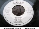 FUZZ promo 'I'm So Glad' EX Original OLDIE Northern Soul 45