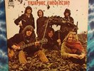 Fairport Convention LP Self Titled A&M Sandy Denny 1969 PRESS Richard Thompson