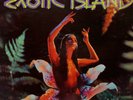 THE SURFMEN The Sounds of Exotic Island 1960  LP Vinyl Record Album (P2)