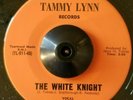 Rare Surf 45 Karen Sadaro White Knight / Skateboard Go Go Tammy Lynn HEAR