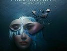 The Architect * by Paloma Faith (Vinyl, Nov-2017, Sony Music)