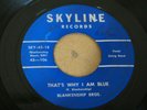 RARE ROCKABILLY BOPPER 45 - BLANKENSHIP BROS. - THAT'S WHY I'M BLUE - SKYLINE
