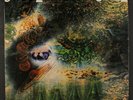 PINK FLOYD: A Saucerful Of Secrets LP (UK, repress black/silver lines lbl, 2 E