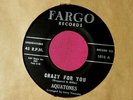 THE AQUATONES - Crazy for You / Wanted - clean 45 rpm - Fargo 1016