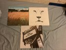 3 factory sealed white lion lps inc rare main attraction