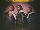 Bee Gees - Children Of The World [New Vinyl LP]