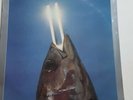 Sealed REO Speedwagon You Can Tune A Piano, But You Can't Tuna Fish Epic Records