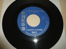 BLUES 45 RPM RECORD - MUDDY WATERS - CHESS 1862