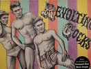 Revolting Cocks Do You Think I'm Sexy promo vinyl 12