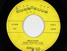 Garage 45 - Chantells - Break-Down - Century - mp3
