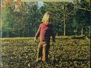 THE ALLMAN BROTHERS BAND  - BROTHERS AND SISTERS VINYL LP NEW AND SEALED