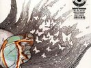 LUCK OF EDEN HALL - Butterfly Revolution - 2 LP (turquoise/orange) Headspin
